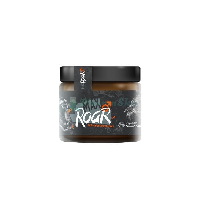 MaxRoar - pro potenciál ve Frýdku-Místku