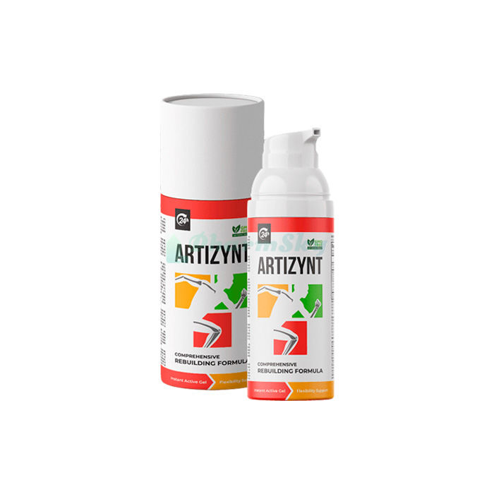 ArtiZynt
